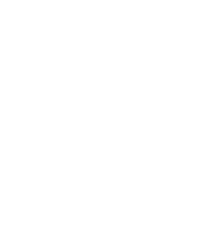 Dancing Pole